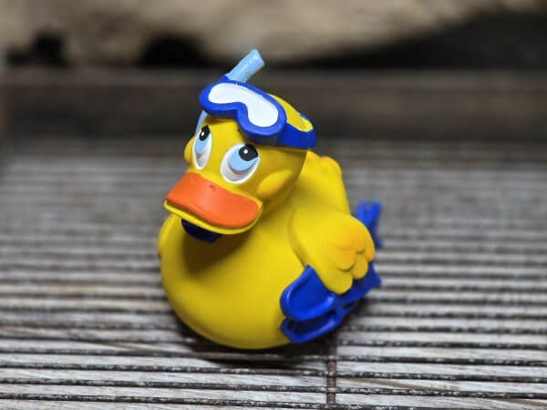 Schnorchel Duck – Bild 2